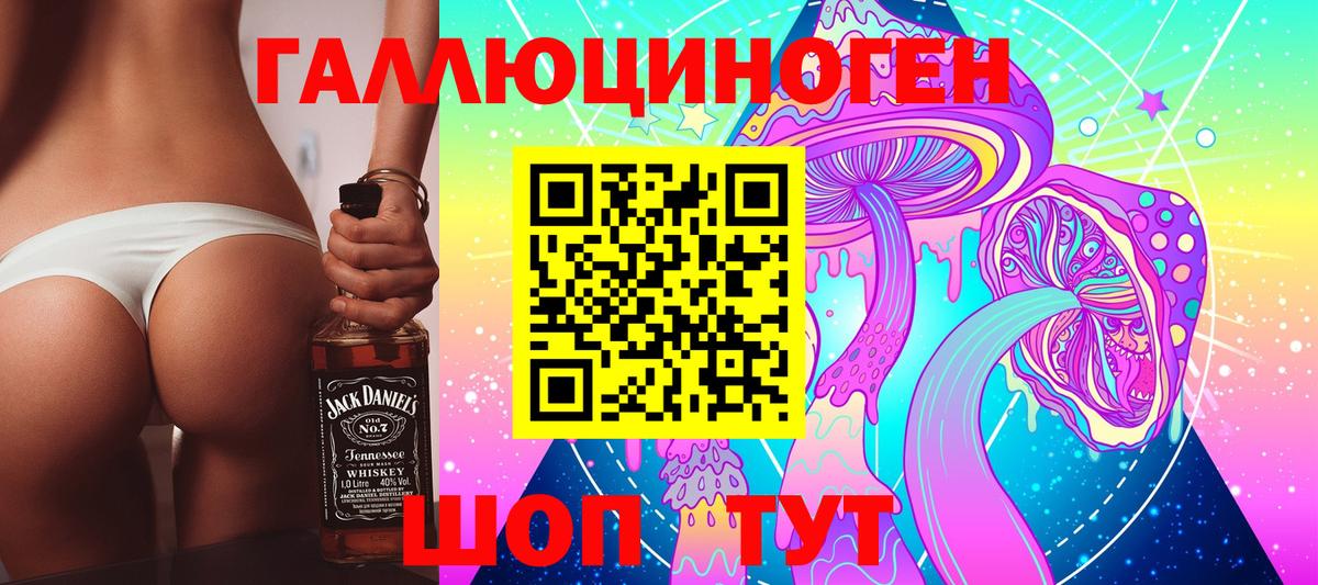 Галлюциногенные грибы Magic Shrooms  Псилоцибиновые грибы GOLDEN TEACHER  где купить   Тосно  Вход с VPN 