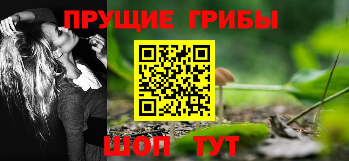 Галлюциногенные грибы Cubensis Тосно